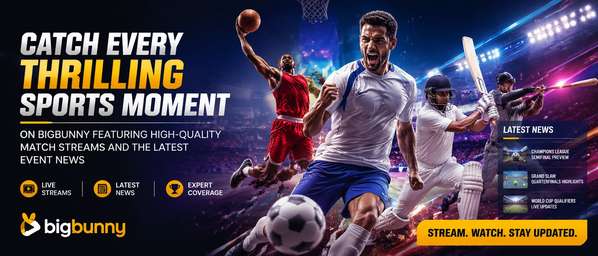 bigbunny sports banner 2